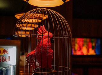 Let's Fox - Die Discofox & Foxtrott Nacht